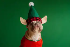 Merry Christmas from The Numbers Quarter